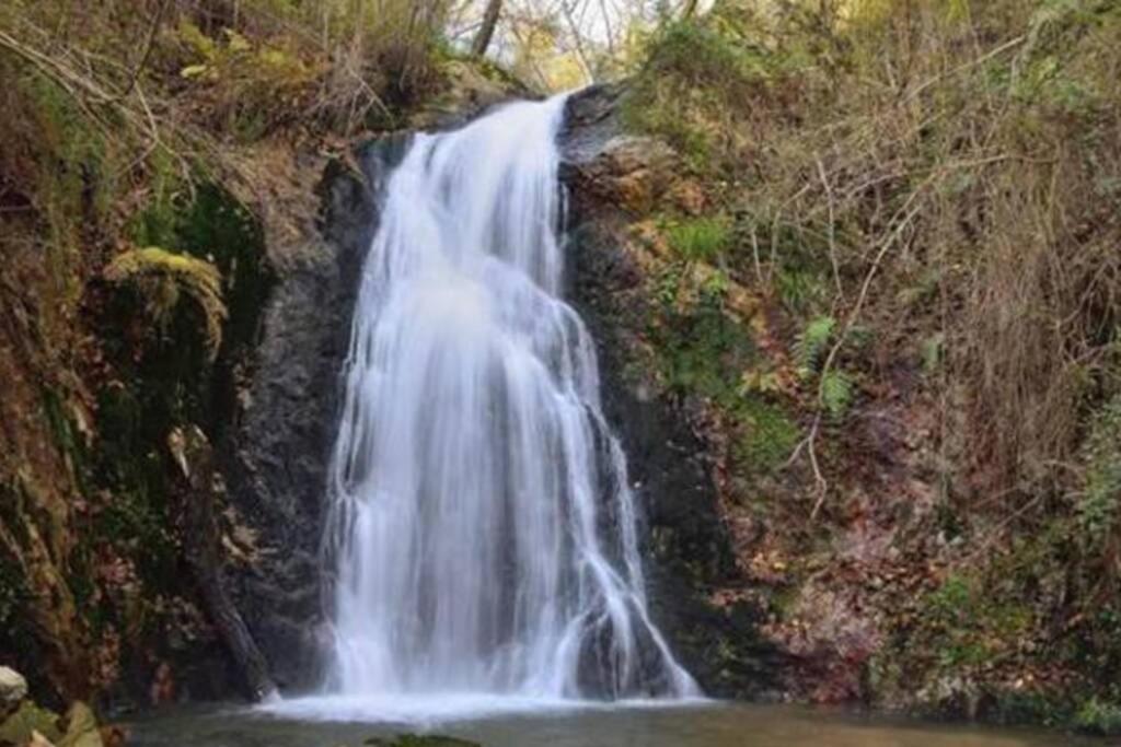 Casa Ferreira, Senda Del Oso Hébergement de vacances