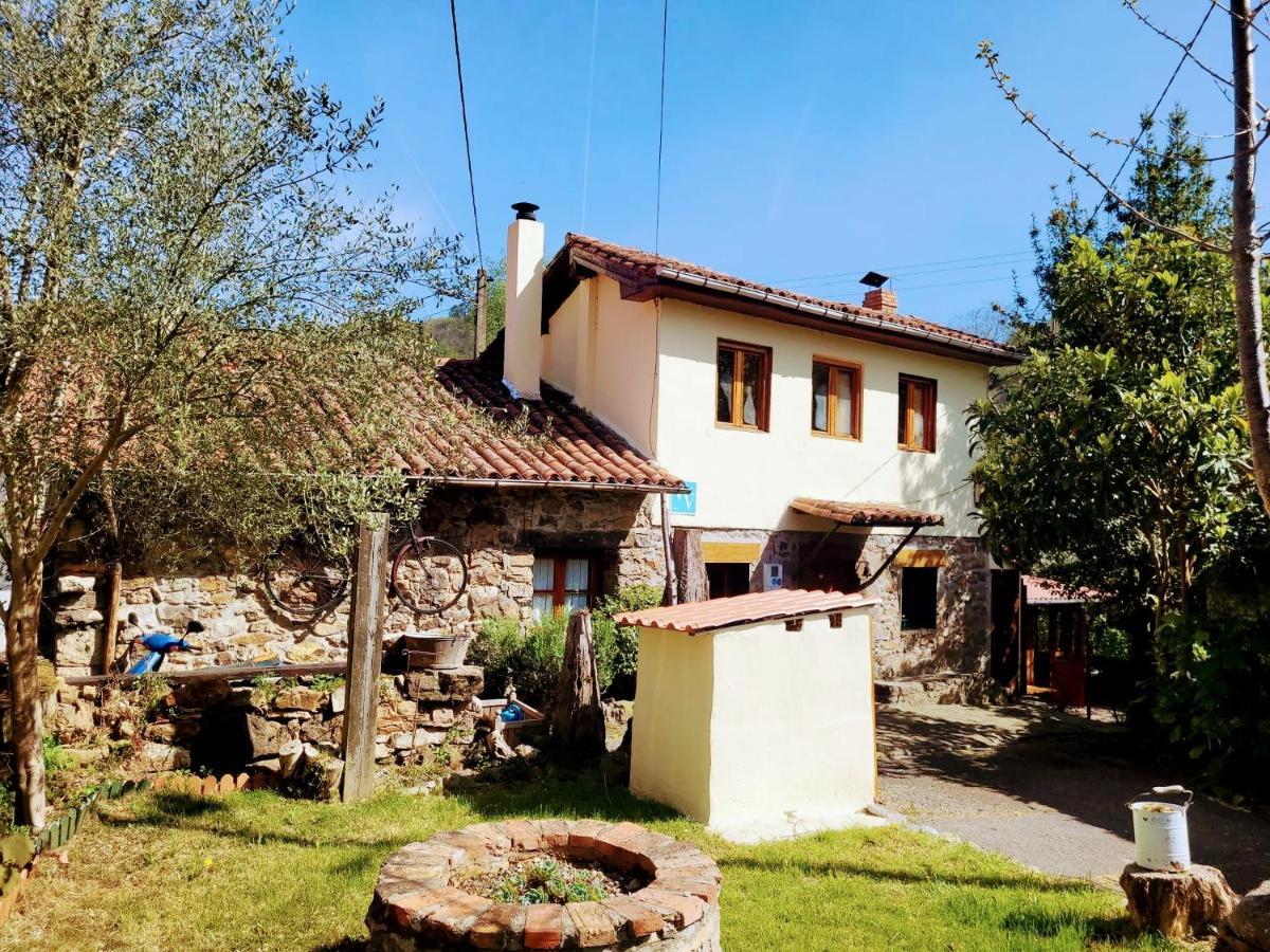 Casa Ferreira, Senda Del Oso * Oviédo